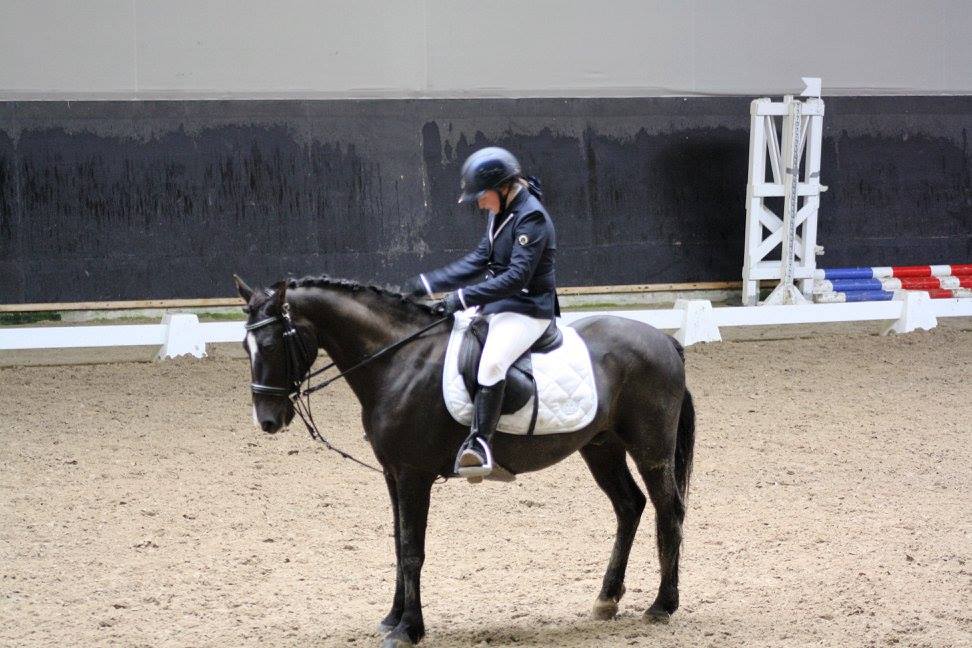 Lucie et Quito en dressage