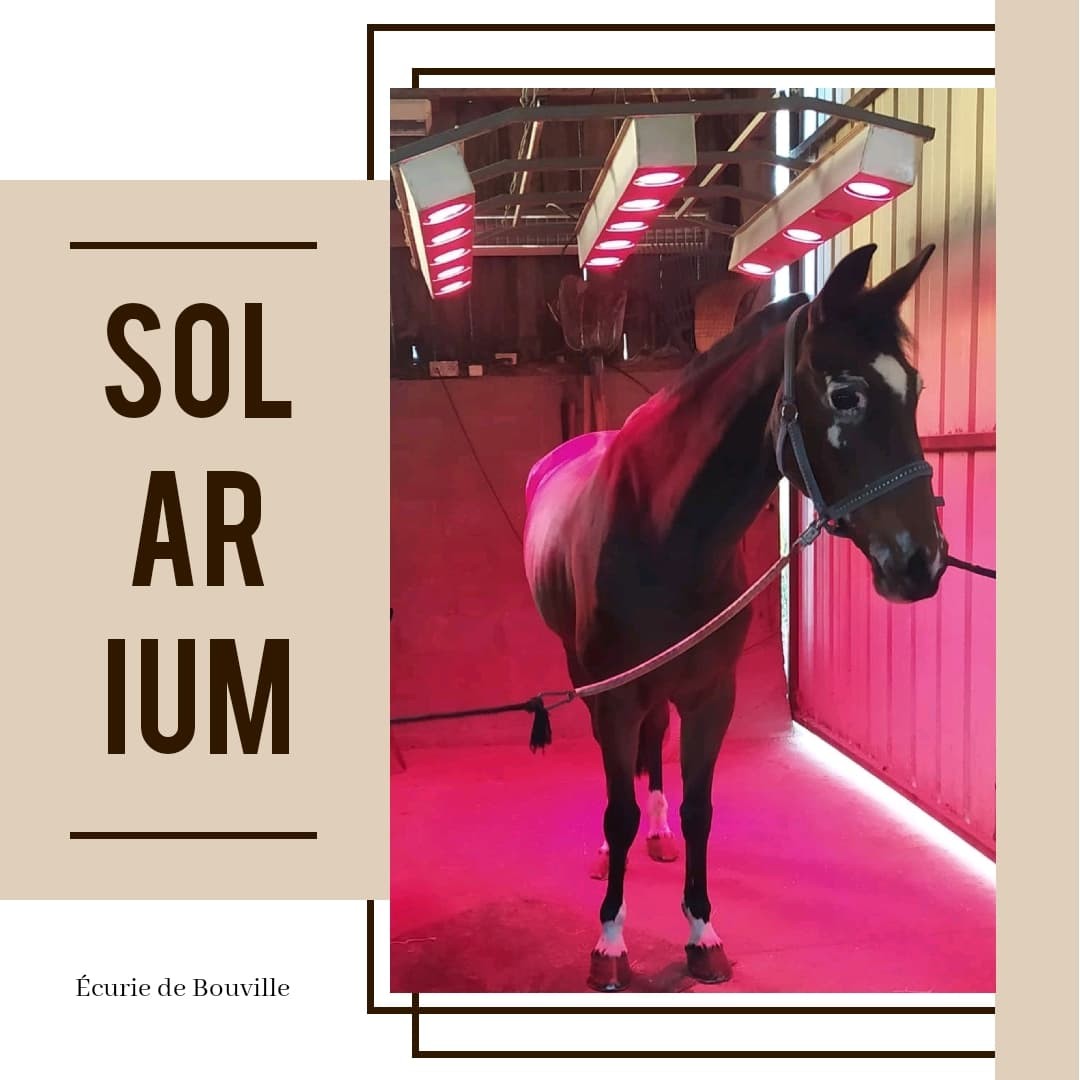 Solarium